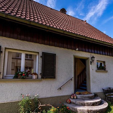 Gartenferienhaus "Annaluise" Schönau im Schwarzwald Zewnętrze zdjęcie