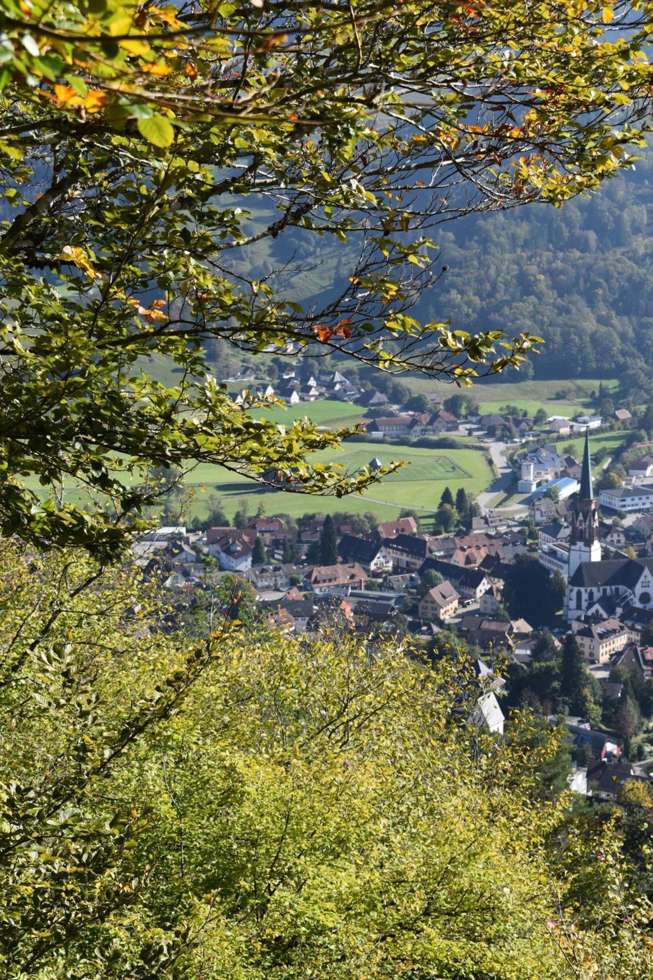 Gartenferienhaus "Annaluise" Schönau im Schwarzwald Zewnętrze zdjęcie