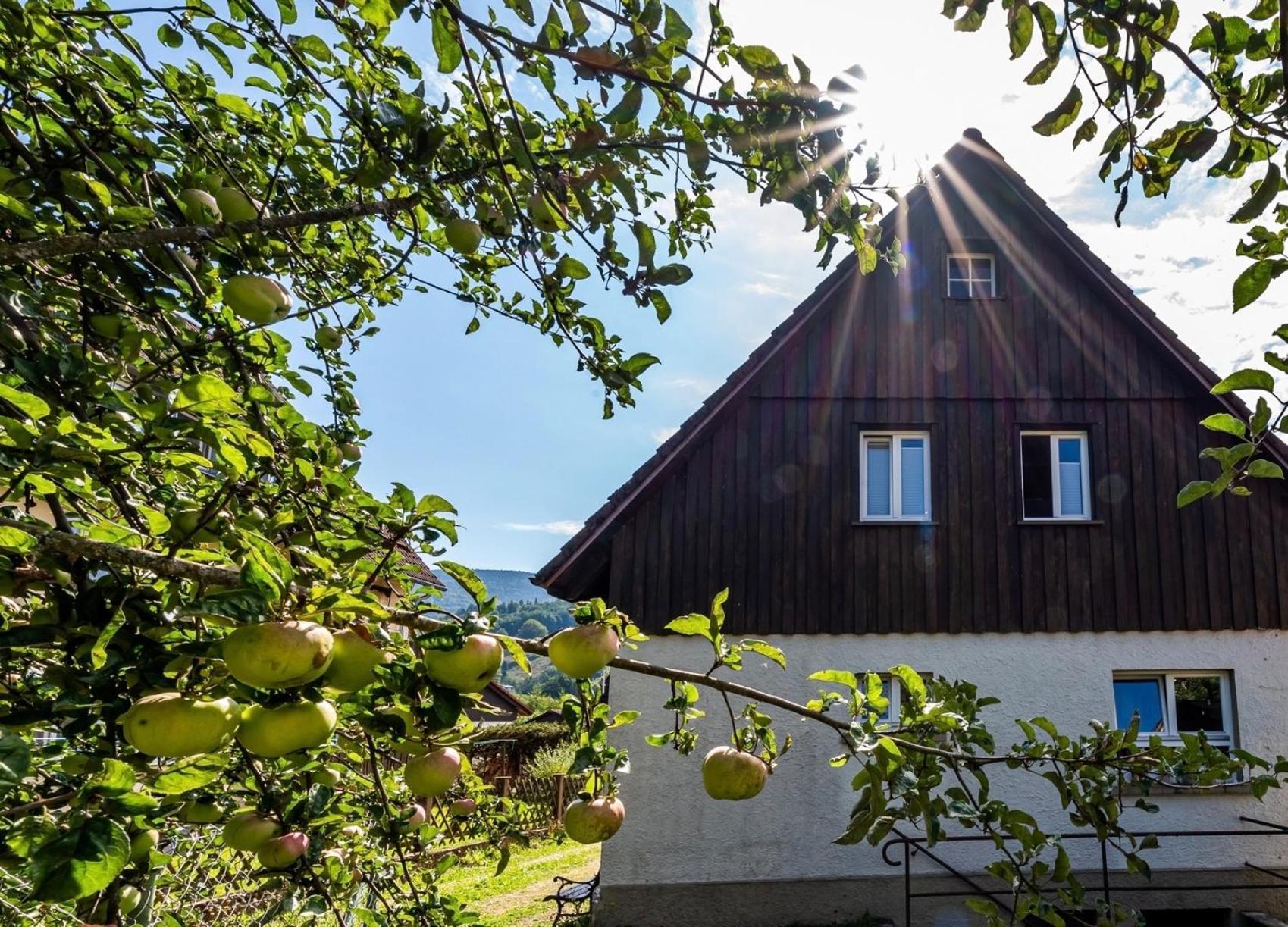 Gartenferienhaus "Annaluise" Schönau im Schwarzwald Zewnętrze zdjęcie