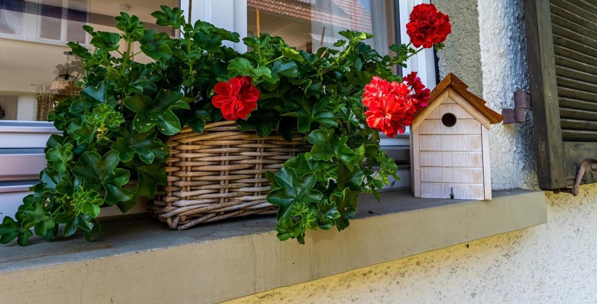 Gartenferienhaus "Annaluise" Schönau im Schwarzwald Zewnętrze zdjęcie