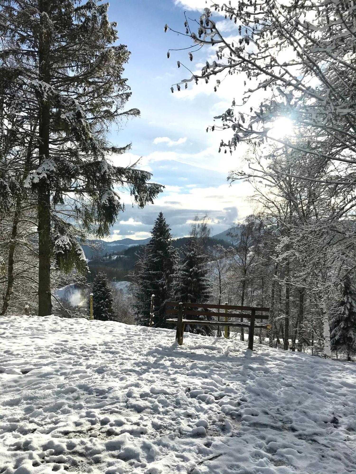 Gartenferienhaus "Annaluise" Schönau im Schwarzwald Zewnętrze zdjęcie